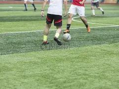 年同奈省第,五届运动会,项竞赛项目,壹号娱乐大舞台,壹号娱乐网页版,壹号娱乐网址,壹号娱乐官网